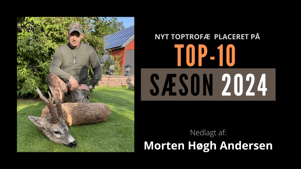 Svensk råbuk: Nyt Top 10 trofæ