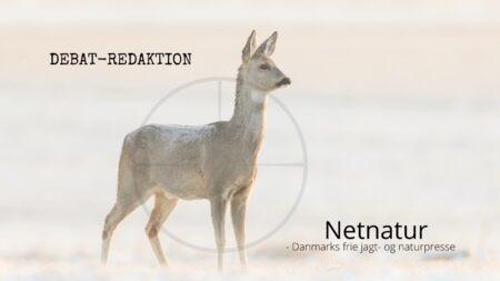 Hjortevildt og riffeljagt: Bør hjertekuglen afskaffes?