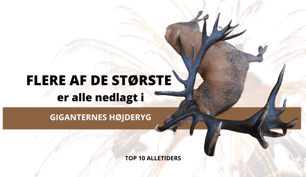 Giganternes højderyg Kronhjort top 10