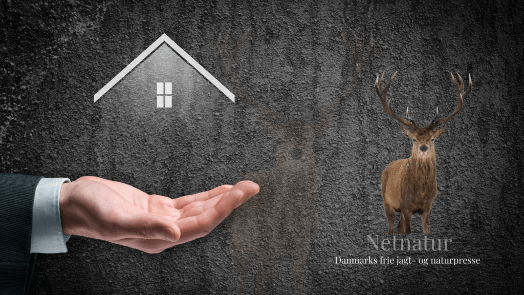 Nye ejendomme på Netnatur