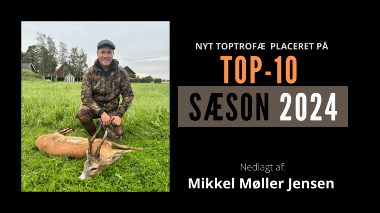 Guldbuk på Top-10: Mit livs buk