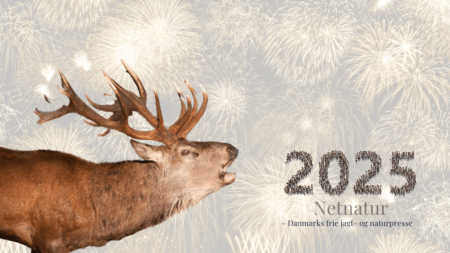 Godt nytår fra Netnatur!