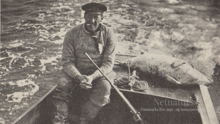 Bag om motorbådsjagt