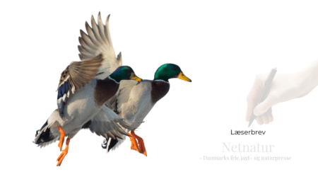 Danmarks Jægerforbunds hovedbestyrelse vedtager lønstigning til sig selv