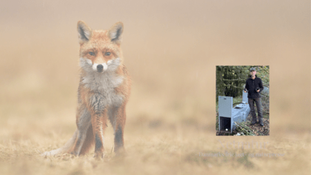 Hunting Care: Jagt og vildtpleje