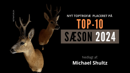 2 x megaguld på Top-10 Alletiders