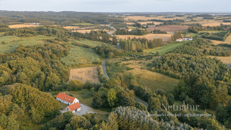 Vil du sælge din ejendom? Vil du sælge din ejendom?