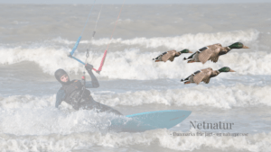 Reservatbekendtgørelse skal strammes op