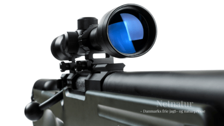 Riffelskud rammer skole: Politiet søger vidner