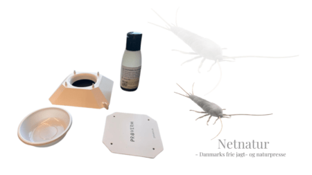 100% giftfri skadedyrsbekæmpelse