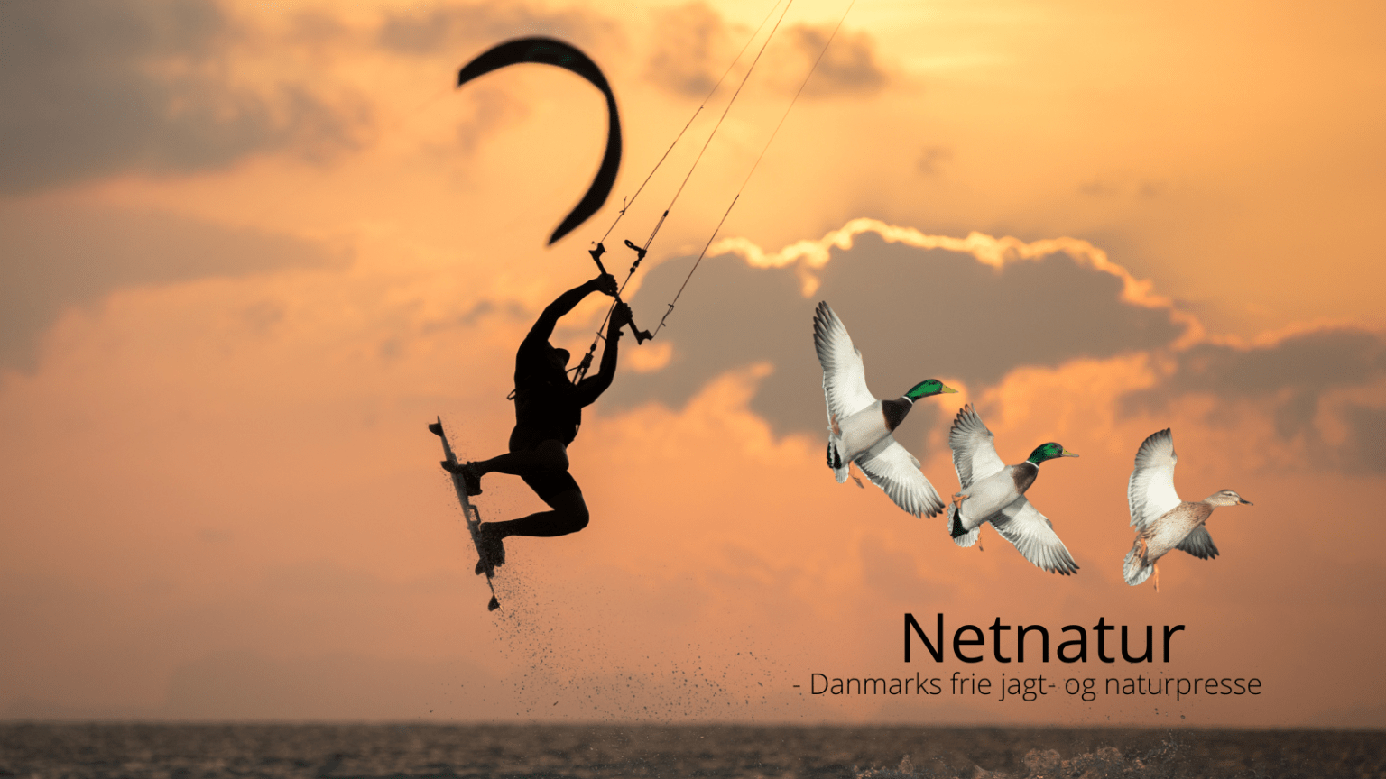 Naturråd agerer imod kommunen om Natura 2000-område