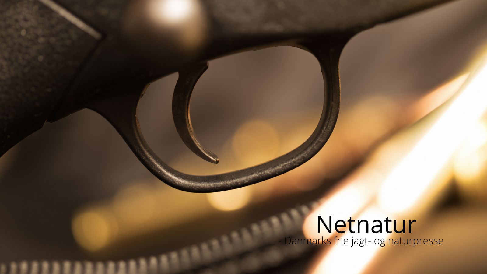 Riffeljagt: Sådan sikrer du det bedste aftræk med din riffel