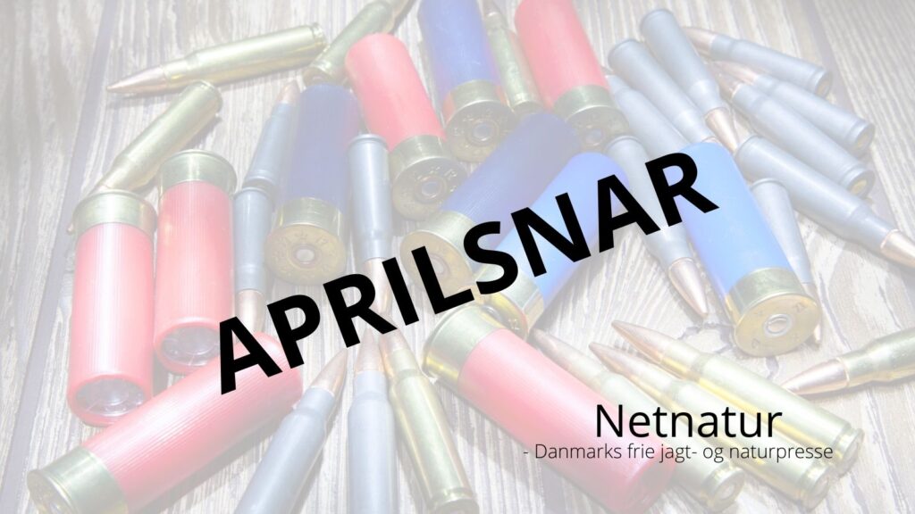 Jagtammunition skal inddrages
