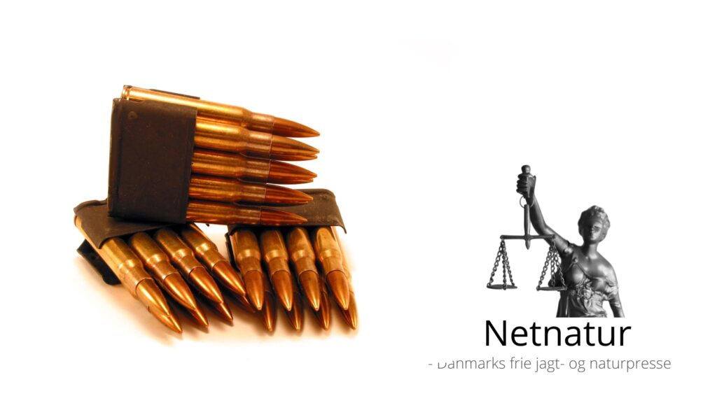 Dømt for ulovlig opbevaring af riffel