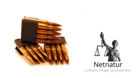 Dømt for ulovlig opbevaring af riffel