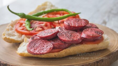 Kvinde giver østrigere smag for vildt