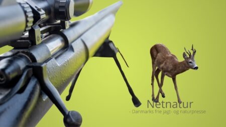 Fordele eller ulemper ved brug af snelleaftræk