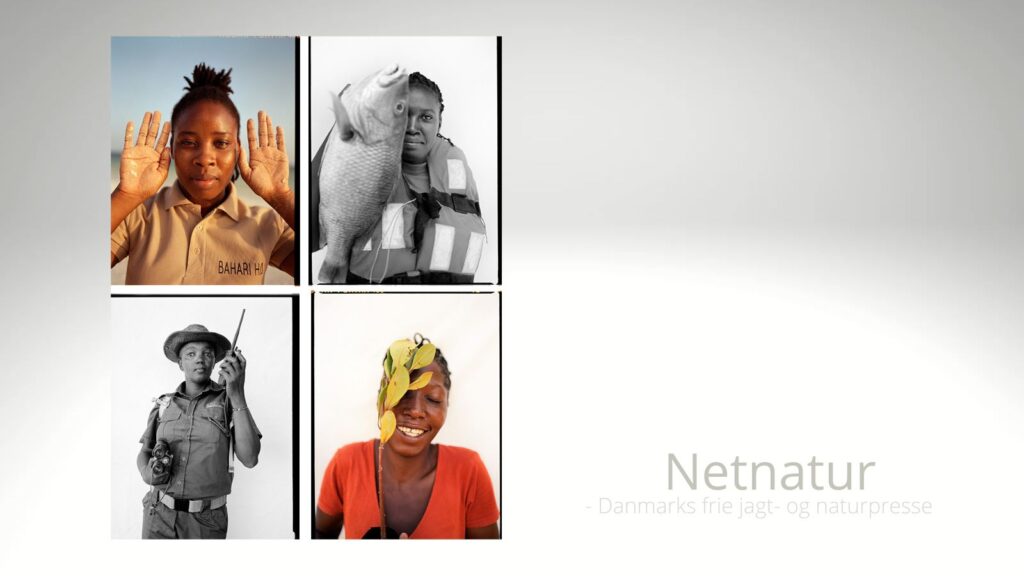 Udstilling og onlineauktion med kvinder i kamp for naturen