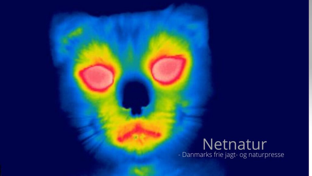 Termisk spotter: En moderne jægers bedste ven Termisk spotter: En moderne jægers bedste ven