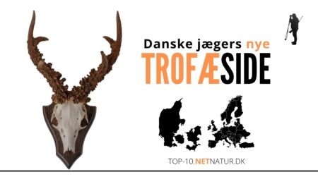 Top-10.netnatur.dk – ny hjemmeside til registering af trofæer