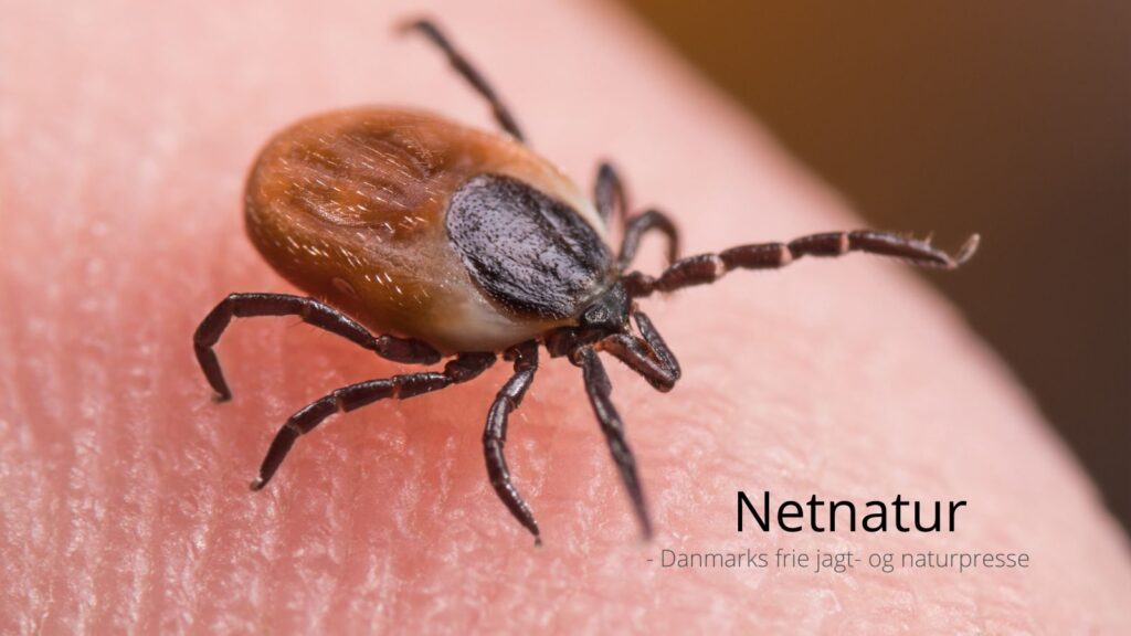 Bliv vaccineret mod TBE på Brahetrolleborg Game Fair