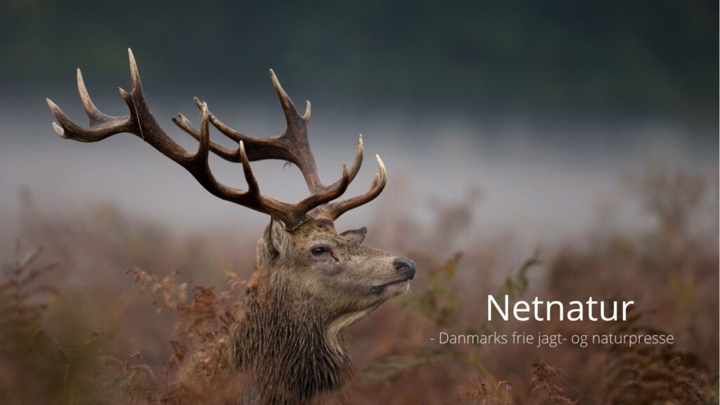 Synspunkt: Skal jægerne virkelig udstyres med pixiebog?