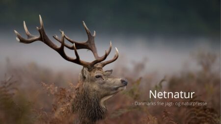 Synspunkt: Skal jægerne virkelig udstyres med pixiebog?