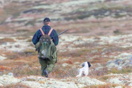 Jagt på rype med stående hund - hvordan ser fremtiden ud?