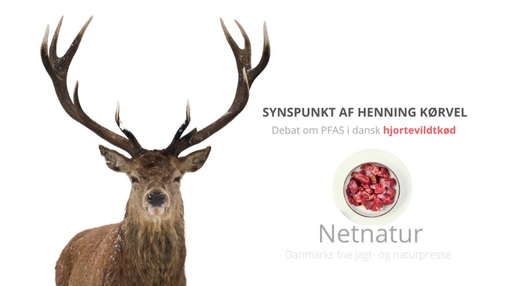 Henning Kørvel: Kanstrup skabte frygt hos danskerne