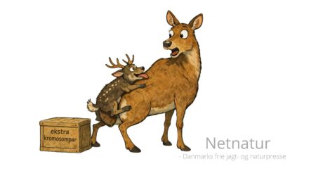 Sika savner støtte i Borgerforslag