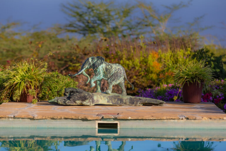 TAW’s house: Moderne komfort i afrikansk ånd og nybyggerstil