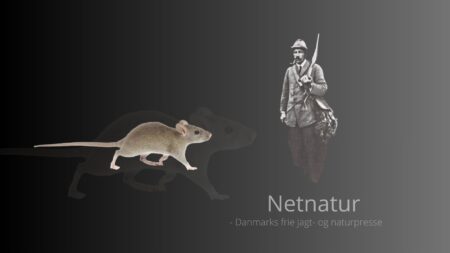 Jul hos revirjæger Brehm 1936