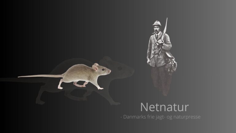 Jul hos revirjæger Brehm 1936