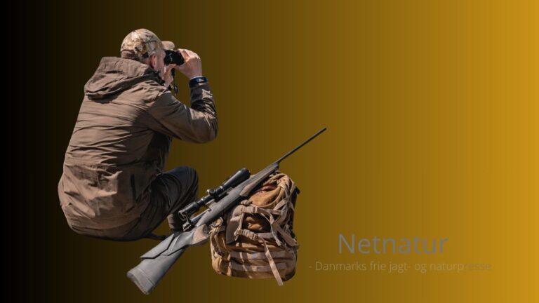 Browning X-Bolt fremhævet som bedste all round jagtriffel