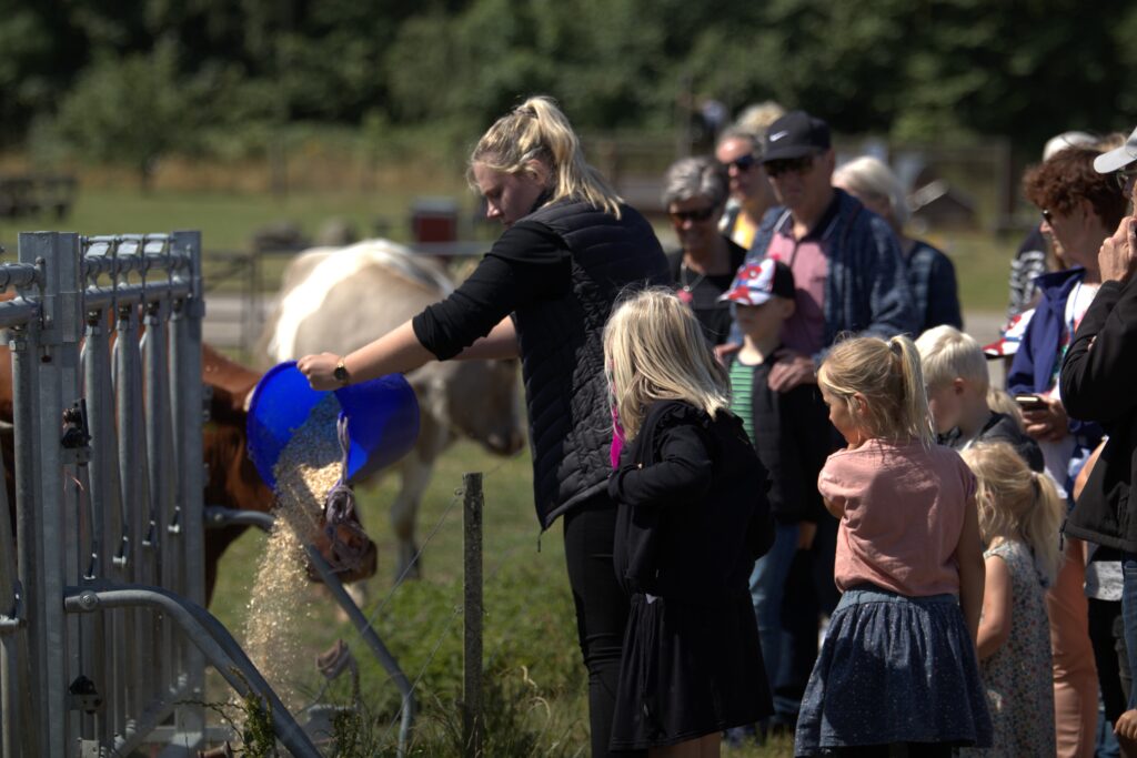 Foderrunder, frivillige og familieoplevelser i sommerferien