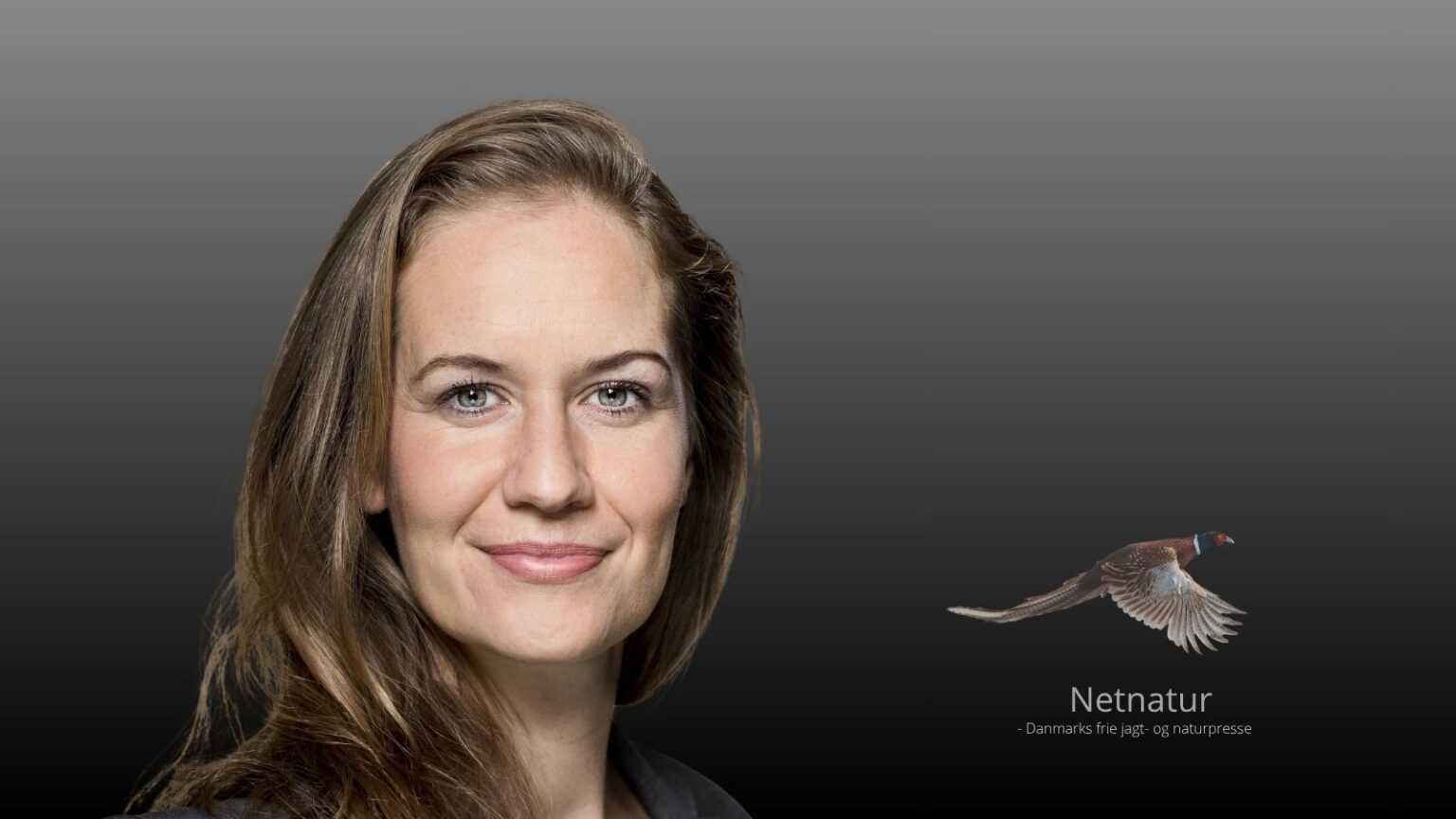 DN-præsident bliver miljøminister