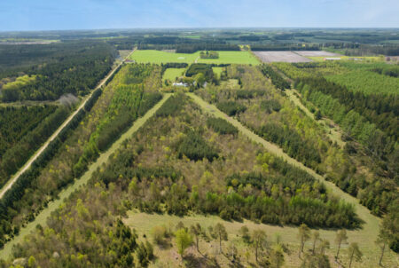 25 ha jagt ejendom i skovområde