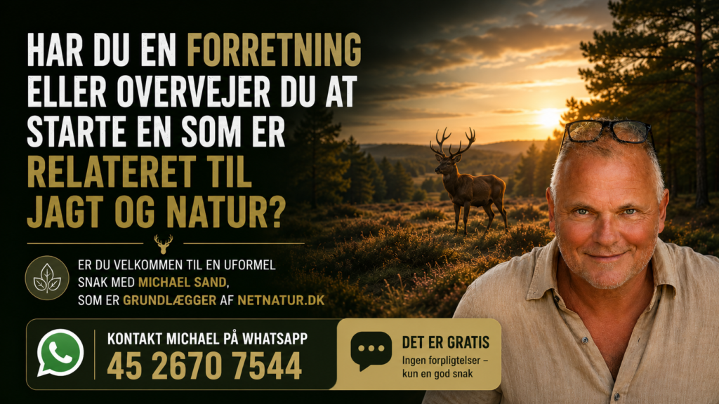 Har du en idé? Tag en uformel snak med Michael Sand