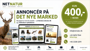 Annoncér på det nye Marked – og kom med i nyhedsbrevet Annoncér på det nye Marked – og kom med i nyhedsbrevet