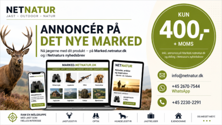 Annoncér på det nye Marked – og kom med i nyhedsbrevet Annoncér på det nye Marked – og kom med i nyhedsbrevet