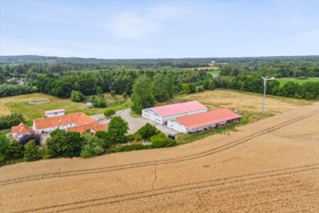 Erhvervsejendom med skov og sø