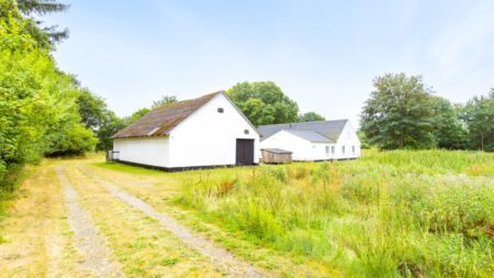 6,26 ha. I Bindslev