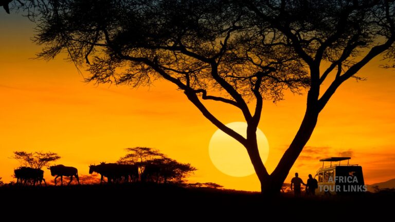 Julesafari i Tanzania: Oplev julen midt i Afrikas vilde natur
